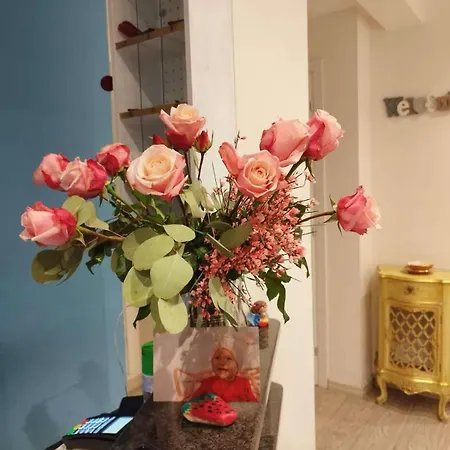 Bike Oasi מלון פינאלה ליגורה